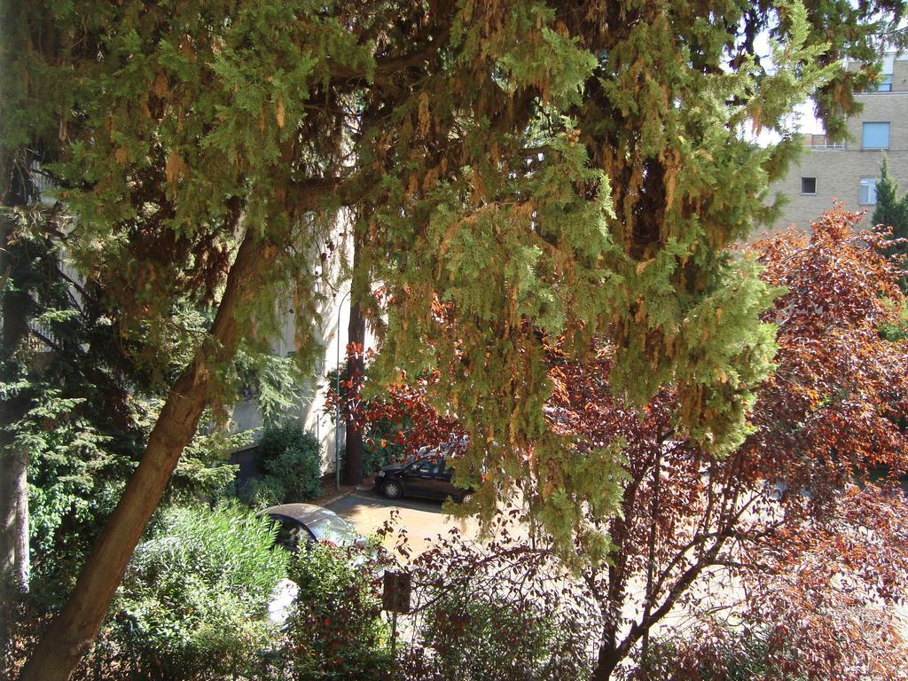 Sciarra Bed & Breakfast *